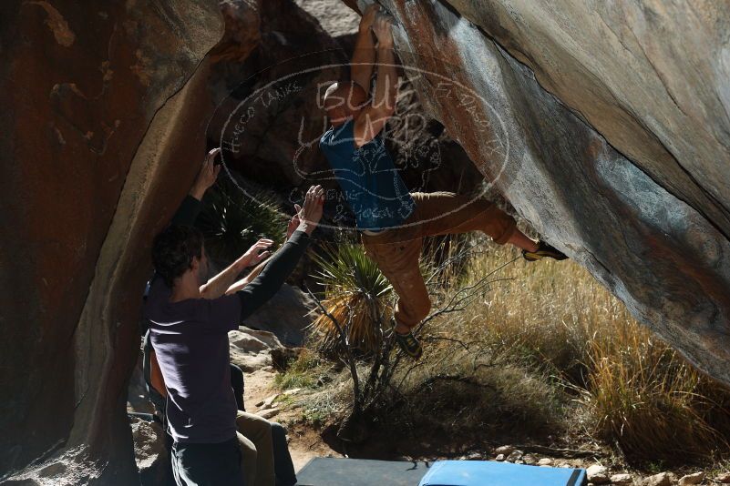 

Filename: SRM_20190317_1202030.jpg
Aperture: f/5.6
Shutter Speed: 1/250
Body: Canon EOS-1D Mark II
Lens: Canon EF 50mm f/1.8 II