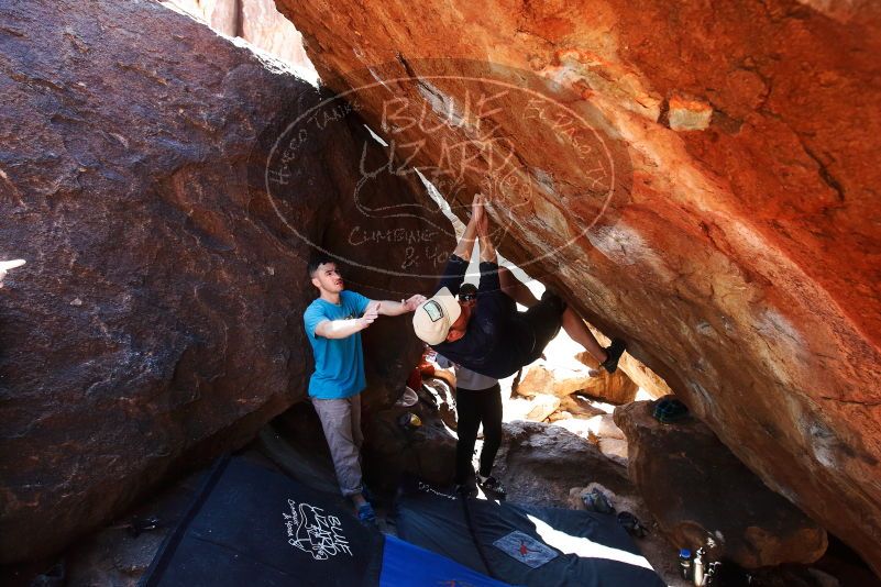 

Filename: SRM_20190317_1255220.jpg
Aperture: f/5.6
Shutter Speed: 1/250
Body: Canon EOS-1D Mark II
Lens: Canon EF 16-35mm f/2.8 L