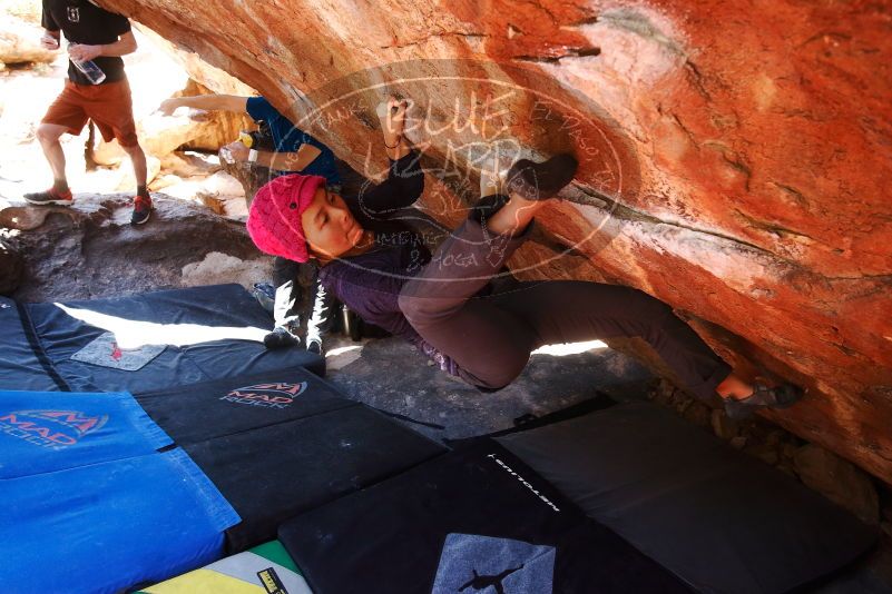 

Filename: SRM_20190317_1302560.jpg
Aperture: f/5.6
Shutter Speed: 1/160
Body: Canon EOS-1D Mark II
Lens: Canon EF 16-35mm f/2.8 L