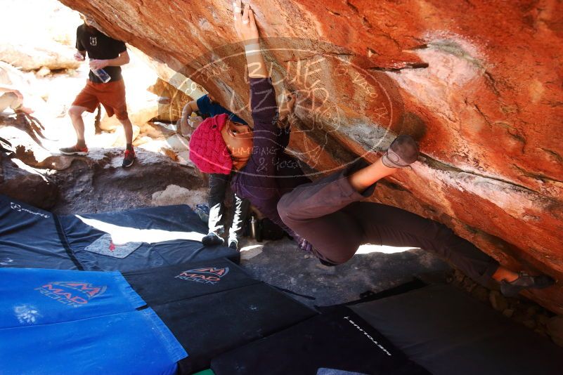 

Filename: SRM_20190317_1302570.jpg
Aperture: f/5.6
Shutter Speed: 1/160
Body: Canon EOS-1D Mark II
Lens: Canon EF 16-35mm f/2.8 L