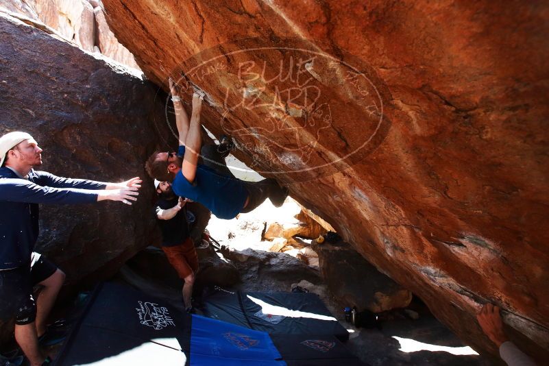 

Filename: SRM_20190317_1306460.jpg
Aperture: f/5.6
Shutter Speed: 1/320
Body: Canon EOS-1D Mark II
Lens: Canon EF 16-35mm f/2.8 L