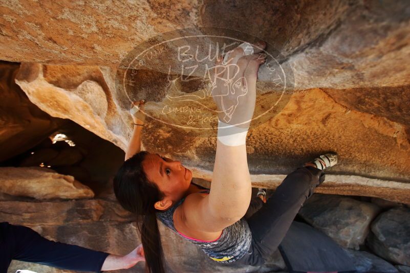 

Filename: SRM_20190317_1601031.jpg
Aperture: f/5.6
Shutter Speed: 1/250
Body: Canon EOS-1D Mark II
Lens: Canon EF 16-35mm f/2.8 L