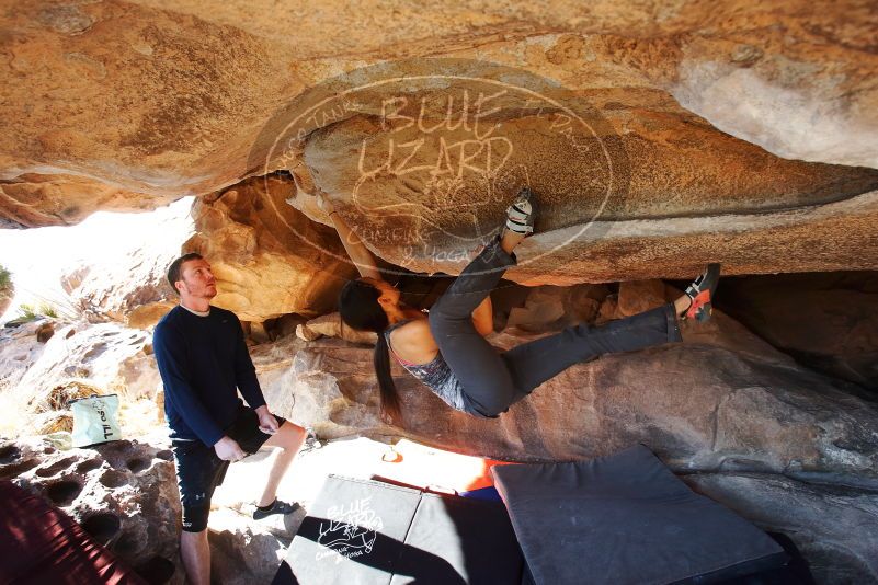 

Filename: SRM_20190317_1610050.jpg
Aperture: f/5.6
Shutter Speed: 1/250
Body: Canon EOS-1D Mark II
Lens: Canon EF 16-35mm f/2.8 L