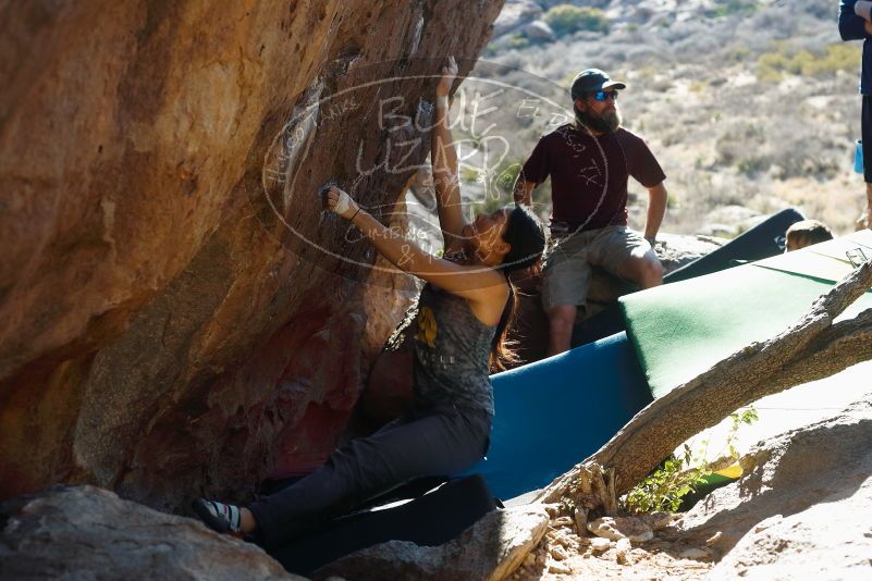 

Filename: SRM_20190317_1709381.jpg
Aperture: f/4.0
Shutter Speed: 1/250
Body: Canon EOS-1D Mark II
Lens: Canon EF 50mm f/1.8 II