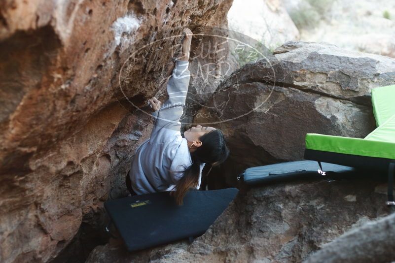 Bouldering in Hueco Tanks on 03/20/2019 with Blue Lizard Climbing and Yoga

Filename: SRM_20190320_0901180.jpg
Aperture: f/2.8
Shutter Speed: 1/250
Body: Canon EOS-1D Mark II
Lens: Canon EF 50mm f/1.8 II