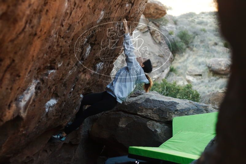 Bouldering in Hueco Tanks on 03/20/2019 with Blue Lizard Climbing and Yoga

Filename: SRM_20190320_0901390.jpg
Aperture: f/2.8
Shutter Speed: 1/640
Body: Canon EOS-1D Mark II
Lens: Canon EF 50mm f/1.8 II