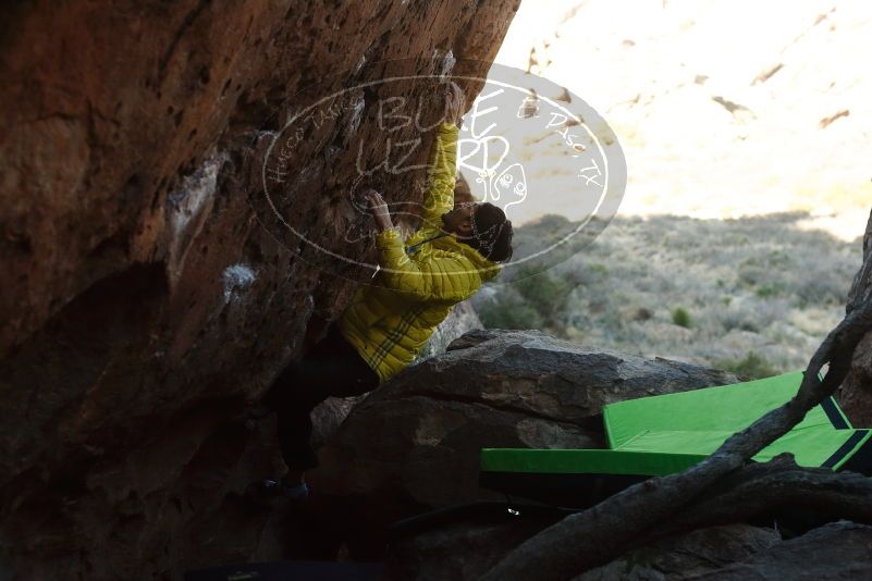 Bouldering in Hueco Tanks on 03/20/2019 with Blue Lizard Climbing and Yoga

Filename: SRM_20190320_0906280.jpg
Aperture: f/3.5
Shutter Speed: 1/640
Body: Canon EOS-1D Mark II
Lens: Canon EF 50mm f/1.8 II