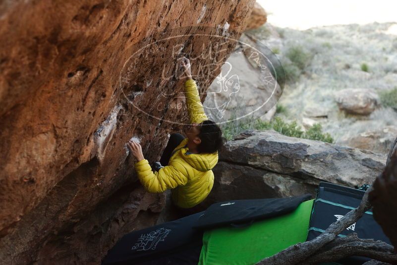 Bouldering in Hueco Tanks on 03/20/2019 with Blue Lizard Climbing and Yoga

Filename: SRM_20190320_0922400.jpg
Aperture: f/3.5
Shutter Speed: 1/320
Body: Canon EOS-1D Mark II
Lens: Canon EF 50mm f/1.8 II