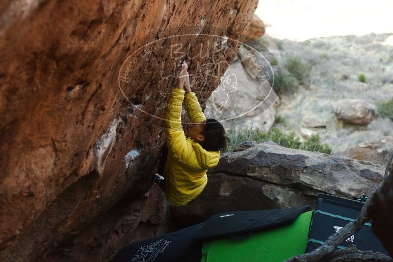 Bouldering in Hueco Tanks on 03/20/2019 with Blue Lizard Climbing and Yoga

Filename: SRM_20190320_0922401.jpg
Aperture: f/3.5
Shutter Speed: 1/400
Body: Canon EOS-1D Mark II
Lens: Canon EF 50mm f/1.8 II