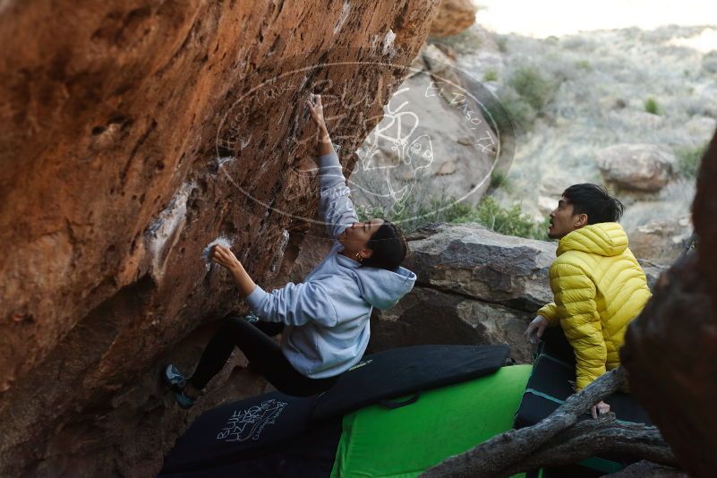 Bouldering in Hueco Tanks on 03/20/2019 with Blue Lizard Climbing and Yoga
Filename: SRM_20190320_0924500.jpg
Aperture: f/3.5
Shutter Speed: 1/400
Body: Canon EOS-1D Mark II
Lens: Canon EF 50mm f/1.8 II