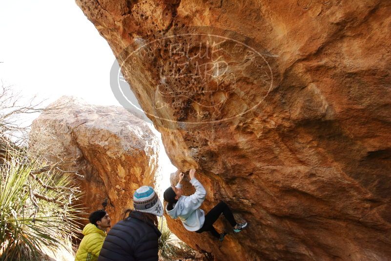 Bouldering in Hueco Tanks on 03/20/2019 with Blue Lizard Climbing and Yoga

Filename: SRM_20190320_0952220.jpg
Aperture: f/5.6
Shutter Speed: 1/250
Body: Canon EOS-1D Mark II
Lens: Canon EF 16-35mm f/2.8 L
