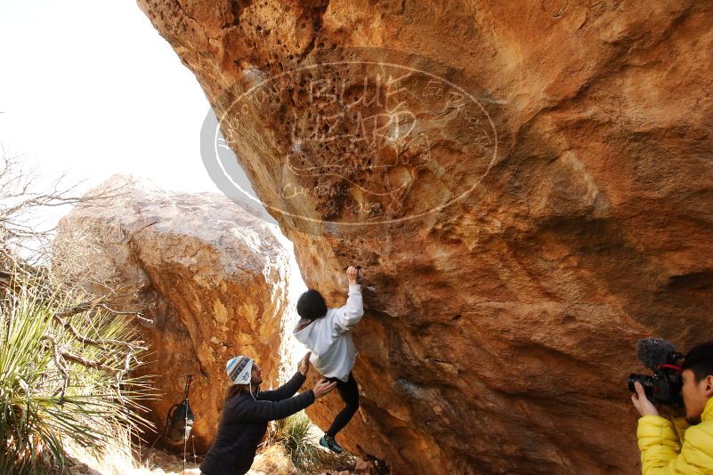 Bouldering in Hueco Tanks on 03/20/2019 with Blue Lizard Climbing and Yoga
Filename: SRM_20190320_0957260.jpg
Aperture: f/5.6
Shutter Speed: 1/250
Body: Canon EOS-1D Mark II
Lens: Canon EF 16-35mm f/2.8 L