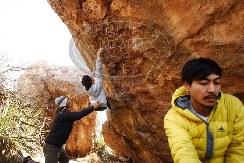 Bouldering in Hueco Tanks on 03/20/2019 with Blue Lizard Climbing and Yoga
Filename: SRM_20190320_0957390.jpg
Aperture: f/5.6
Shutter Speed: 1/250
Body: Canon EOS-1D Mark II
Lens: Canon EF 16-35mm f/2.8 L