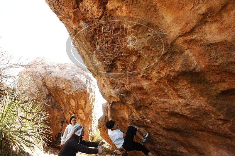 Bouldering in Hueco Tanks on 03/20/2019 with Blue Lizard Climbing and Yoga

Filename: SRM_20190320_1002280.jpg
Aperture: f/5.6
Shutter Speed: 1/250
Body: Canon EOS-1D Mark II
Lens: Canon EF 16-35mm f/2.8 L