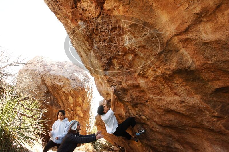 Bouldering in Hueco Tanks on 03/20/2019 with Blue Lizard Climbing and Yoga
Filename: SRM_20190320_1002300.jpg
Aperture: f/5.6
Shutter Speed: 1/250
Body: Canon EOS-1D Mark II
Lens: Canon EF 16-35mm f/2.8 L