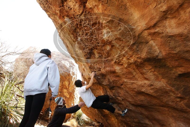 Bouldering in Hueco Tanks on 03/20/2019 with Blue Lizard Climbing and Yoga
Filename: SRM_20190320_1002340.jpg
Aperture: f/5.6
Shutter Speed: 1/250
Body: Canon EOS-1D Mark II
Lens: Canon EF 16-35mm f/2.8 L