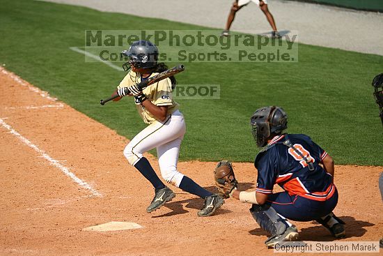 

Filename: img_5485_std.jpg
Aperture: f/2.8
Shutter Speed: 1/2500
Body: Canon EOS DIGITAL REBEL
Lens: Canon EF 80-200mm f/2.8 L