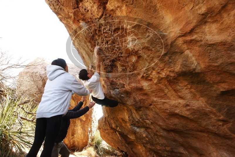 Bouldering in Hueco Tanks on 03/20/2019 with Blue Lizard Climbing and Yoga
Filename: SRM_20190320_1002460.jpg
Aperture: f/5.6
Shutter Speed: 1/250
Body: Canon EOS-1D Mark II
Lens: Canon EF 16-35mm f/2.8 L