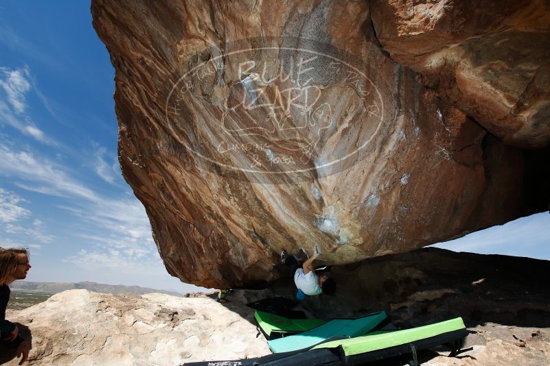 Bouldering in Hueco Tanks on 03/20/2019 with Blue Lizard Climbing and Yoga

Filename: SRM_20190320_1205270.jpg
Aperture: f/5.6
Shutter Speed: 1/250
Body: Canon EOS-1D Mark II
Lens: Canon EF 16-35mm f/2.8 L