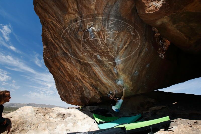 Bouldering in Hueco Tanks on 03/20/2019 with Blue Lizard Climbing and Yoga
Filename: SRM_20190320_1205320.jpg
Aperture: f/5.6
Shutter Speed: 1/250
Body: Canon EOS-1D Mark II
Lens: Canon EF 16-35mm f/2.8 L