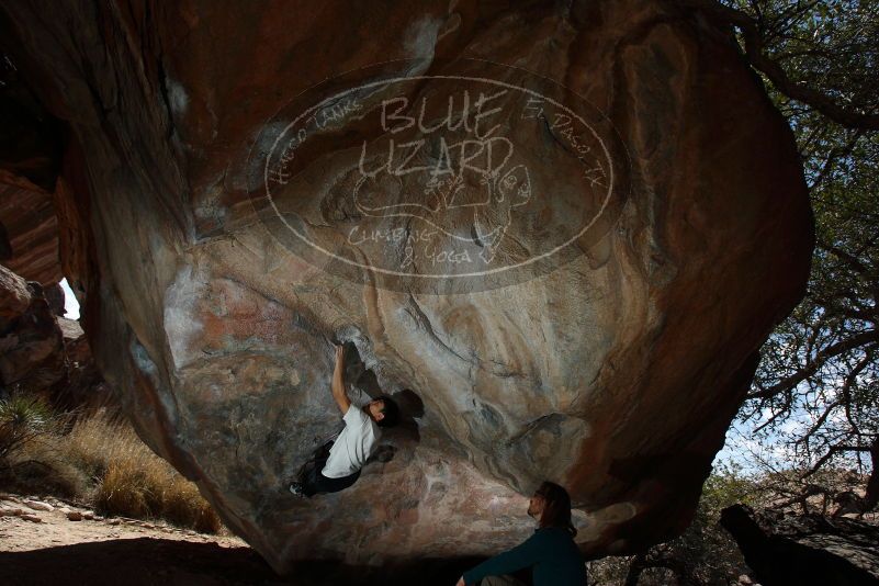 Bouldering in Hueco Tanks on 03/20/2019 with Blue Lizard Climbing and Yoga

Filename: SRM_20190320_1255050.jpg
Aperture: f/5.6
Shutter Speed: 1/250
Body: Canon EOS-1D Mark II
Lens: Canon EF 16-35mm f/2.8 L