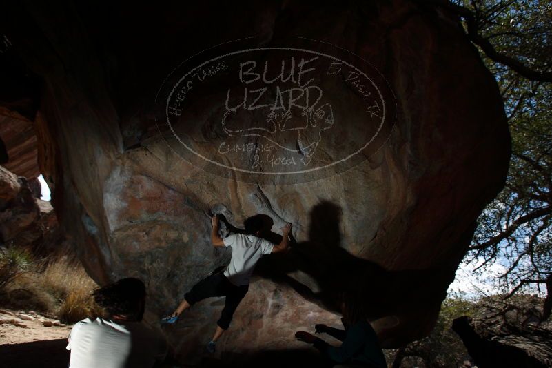 Bouldering in Hueco Tanks on 03/20/2019 with Blue Lizard Climbing and Yoga
Filename: SRM_20190320_1304150.jpg
Aperture: f/5.6
Shutter Speed: 1/250
Body: Canon EOS-1D Mark II
Lens: Canon EF 16-35mm f/2.8 L