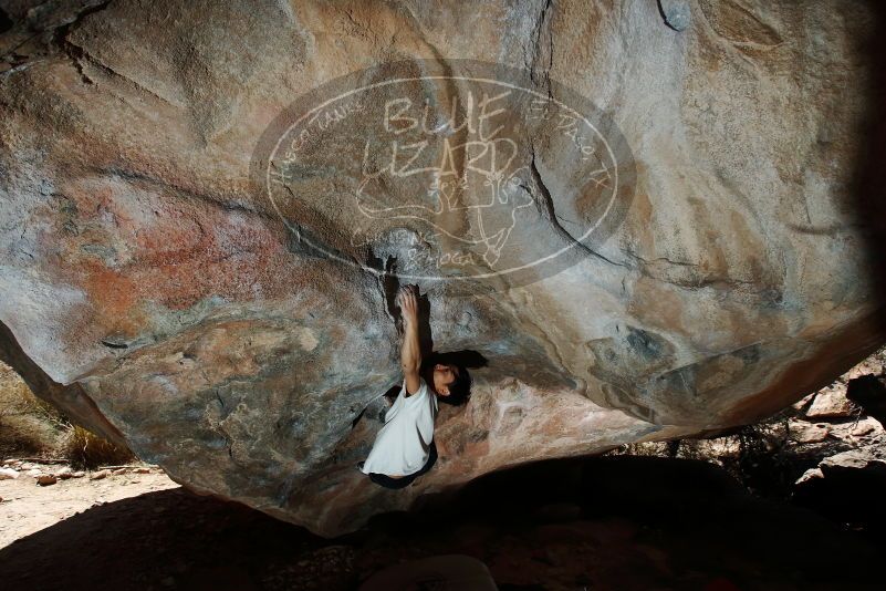 Bouldering in Hueco Tanks on 03/20/2019 with Blue Lizard Climbing and Yoga
Filename: SRM_20190320_1315000.jpg
Aperture: f/6.3
Shutter Speed: 1/250
Body: Canon EOS-1D Mark II
Lens: Canon EF 16-35mm f/2.8 L
