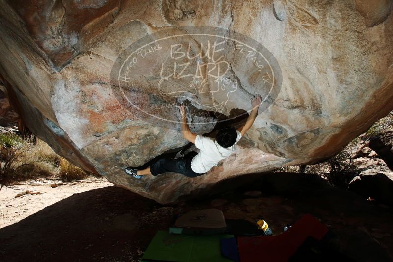 Bouldering in Hueco Tanks on 03/20/2019 with Blue Lizard Climbing and Yoga
Filename: SRM_20190320_1319560.jpg
Aperture: f/6.3
Shutter Speed: 1/250
Body: Canon EOS-1D Mark II
Lens: Canon EF 16-35mm f/2.8 L