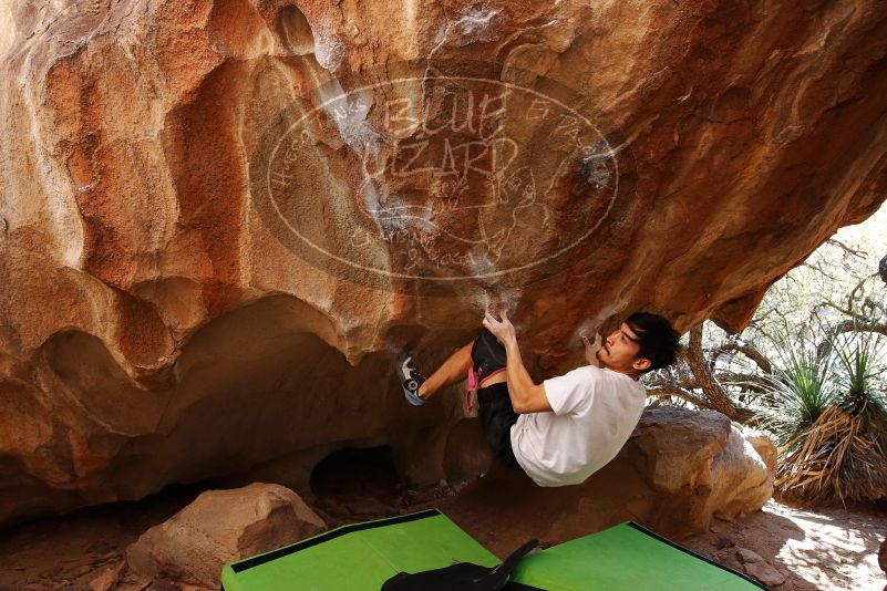 Bouldering in Hueco Tanks on 03/20/2019 with Blue Lizard Climbing and Yoga

Filename: SRM_20190320_1511200.jpg
Aperture: f/5.6
Shutter Speed: 1/250
Body: Canon EOS-1D Mark II
Lens: Canon EF 16-35mm f/2.8 L