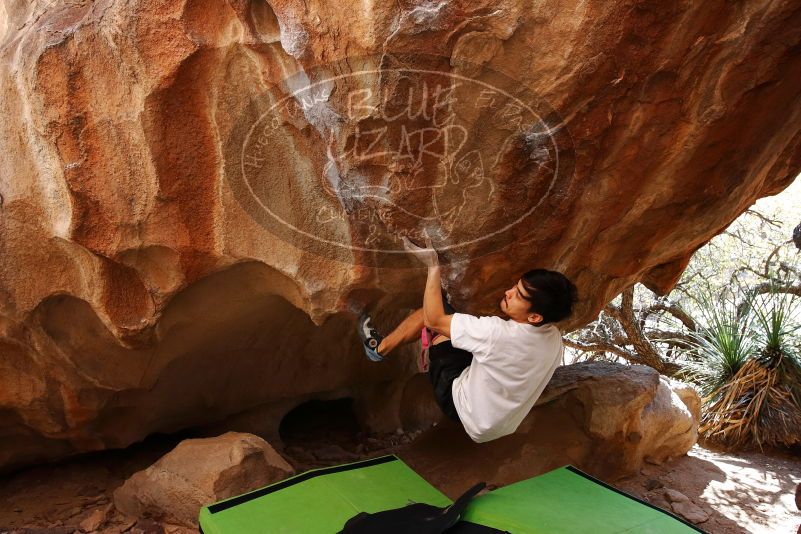 Bouldering in Hueco Tanks on 03/20/2019 with Blue Lizard Climbing and Yoga

Filename: SRM_20190320_1511210.jpg
Aperture: f/5.6
Shutter Speed: 1/250
Body: Canon EOS-1D Mark II
Lens: Canon EF 16-35mm f/2.8 L