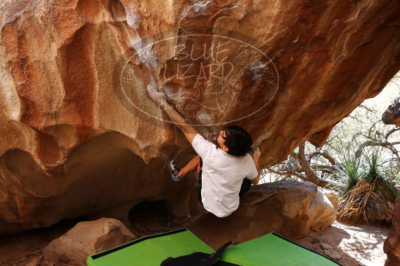 Bouldering in Hueco Tanks on 03/20/2019 with Blue Lizard Climbing and Yoga
Filename: SRM_20190320_1511240.jpg
Aperture: f/5.6
Shutter Speed: 1/250
Body: Canon EOS-1D Mark II
Lens: Canon EF 16-35mm f/2.8 L