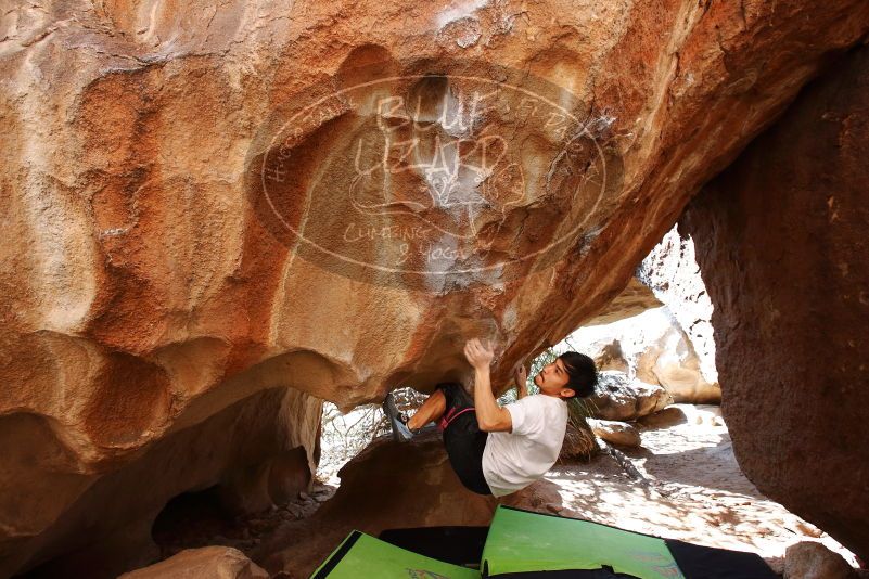 Bouldering in Hueco Tanks on 03/20/2019 with Blue Lizard Climbing and Yoga

Filename: SRM_20190320_1520430.jpg
Aperture: f/5.6
Shutter Speed: 1/250
Body: Canon EOS-1D Mark II
Lens: Canon EF 16-35mm f/2.8 L