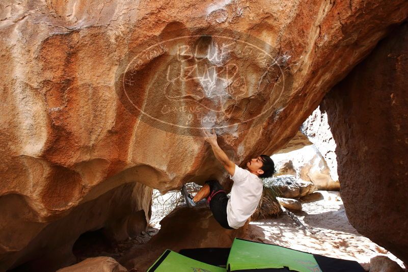 Bouldering in Hueco Tanks on 03/20/2019 with Blue Lizard Climbing and Yoga

Filename: SRM_20190320_1520431.jpg
Aperture: f/5.6
Shutter Speed: 1/250
Body: Canon EOS-1D Mark II
Lens: Canon EF 16-35mm f/2.8 L
