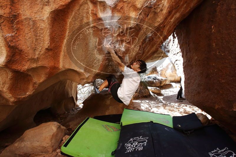 Bouldering in Hueco Tanks on 03/20/2019 with Blue Lizard Climbing and Yoga

Filename: SRM_20190320_1534481.jpg
Aperture: f/5.6
Shutter Speed: 1/250
Body: Canon EOS-1D Mark II
Lens: Canon EF 16-35mm f/2.8 L