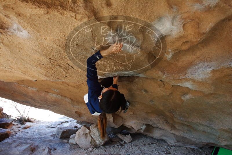 Bouldering in Hueco Tanks on 03/20/2019 with Blue Lizard Climbing and Yoga

Filename: SRM_20190320_1546530.jpg
Aperture: f/5.6
Shutter Speed: 1/200
Body: Canon EOS-1D Mark II
Lens: Canon EF 16-35mm f/2.8 L