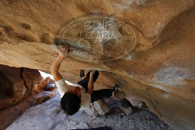 Bouldering in Hueco Tanks on 03/20/2019 with Blue Lizard Climbing and Yoga

Filename: SRM_20190320_1556140.jpg
Aperture: f/5.6
Shutter Speed: 1/200
Body: Canon EOS-1D Mark II
Lens: Canon EF 16-35mm f/2.8 L
