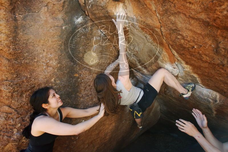 Bouldering in Hueco Tanks on 03/29/2019 with Blue Lizard Climbing and Yoga
Filename: SRM_20190329_0949200.jpg
Aperture: f/5.6
Shutter Speed: 1/200
Body: Canon EOS-1D Mark II
Lens: Canon EF 16-35mm f/2.8 L