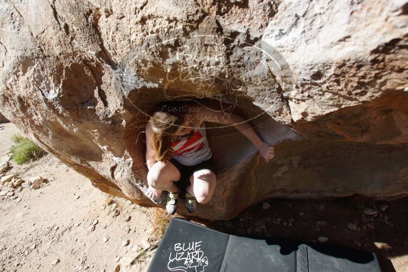 Bouldering in Hueco Tanks on 03/29/2019 with Blue Lizard Climbing and Yoga
Filename: SRM_20190329_1001230.jpg
Aperture: f/5.6
Shutter Speed: 1/500
Body: Canon EOS-1D Mark II
Lens: Canon EF 16-35mm f/2.8 L