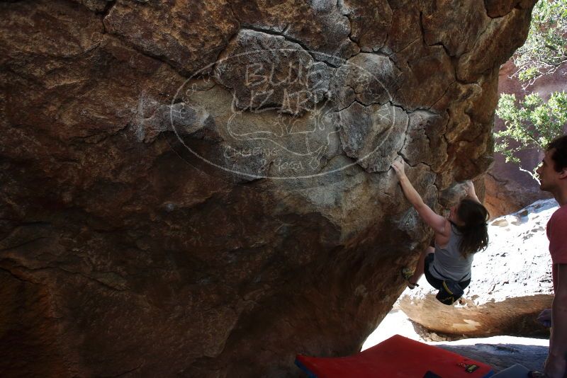 Bouldering in Hueco Tanks on 03/29/2019 with Blue Lizard Climbing and Yoga
Filename: SRM_20190329_1036300.jpg
Aperture: f/5.6
Shutter Speed: 1/250
Body: Canon EOS-1D Mark II
Lens: Canon EF 16-35mm f/2.8 L