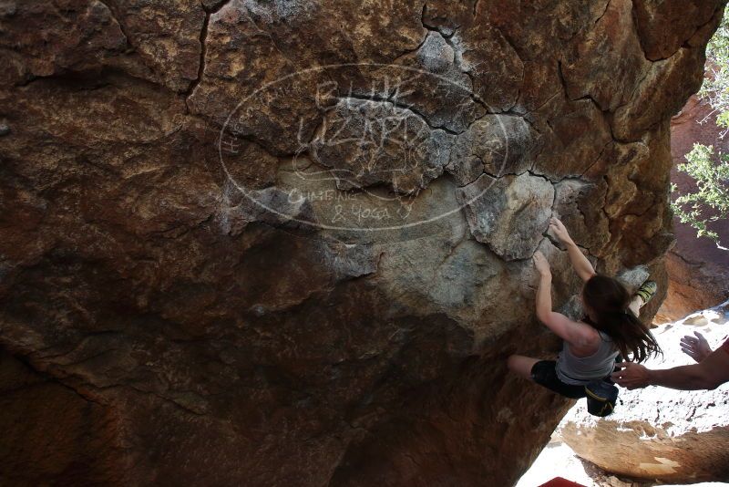 Bouldering in Hueco Tanks on 03/29/2019 with Blue Lizard Climbing and Yoga
Filename: SRM_20190329_1036350.jpg
Aperture: f/5.6
Shutter Speed: 1/250
Body: Canon EOS-1D Mark II
Lens: Canon EF 16-35mm f/2.8 L