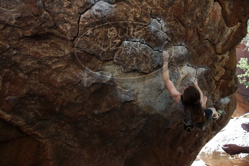 Bouldering in Hueco Tanks on 03/29/2019 with Blue Lizard Climbing and Yoga
Filename: SRM_20190329_1036380.jpg
Aperture: f/5.6
Shutter Speed: 1/250
Body: Canon EOS-1D Mark II
Lens: Canon EF 16-35mm f/2.8 L