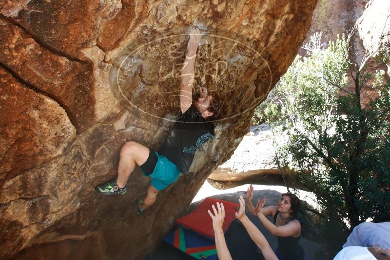 Bouldering in Hueco Tanks on 03/29/2019 with Blue Lizard Climbing and Yoga
Filename: SRM_20190329_1040380.jpg
Aperture: f/5.6
Shutter Speed: 1/250
Body: Canon EOS-1D Mark II
Lens: Canon EF 16-35mm f/2.8 L