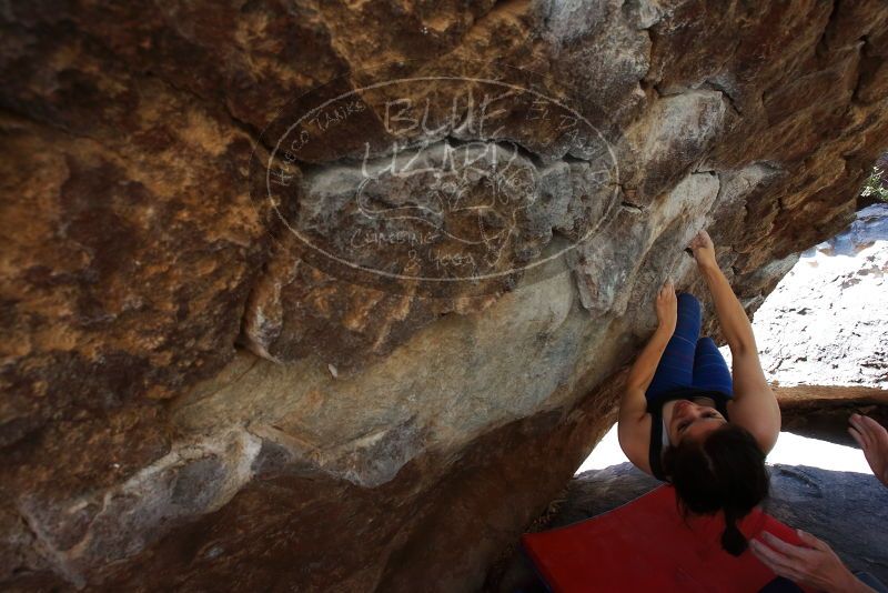 Bouldering in Hueco Tanks on 03/29/2019 with Blue Lizard Climbing and Yoga
Filename: SRM_20190329_1046380.jpg
Aperture: f/5.6
Shutter Speed: 1/250
Body: Canon EOS-1D Mark II
Lens: Canon EF 16-35mm f/2.8 L