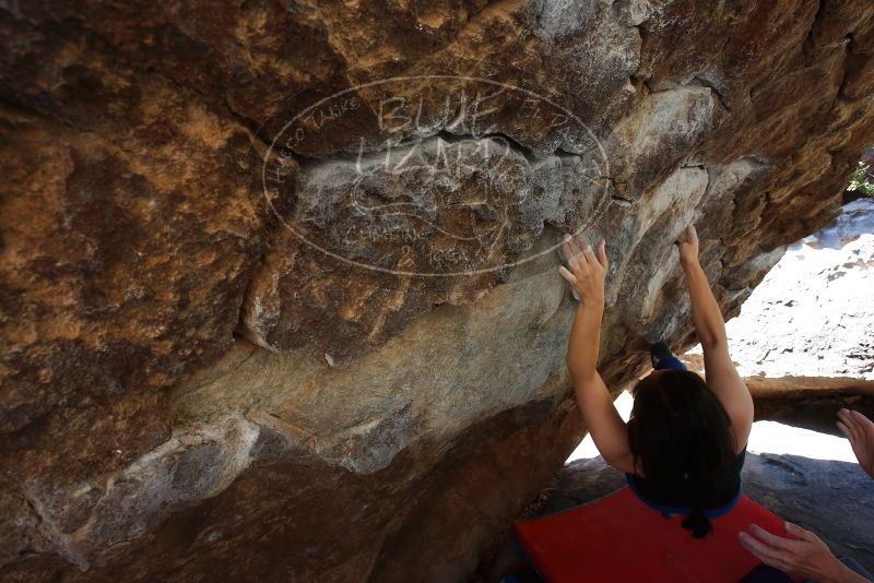 Bouldering in Hueco Tanks on 03/29/2019 with Blue Lizard Climbing and Yoga
Filename: SRM_20190329_1046382.jpg
Aperture: f/5.6
Shutter Speed: 1/250
Body: Canon EOS-1D Mark II
Lens: Canon EF 16-35mm f/2.8 L