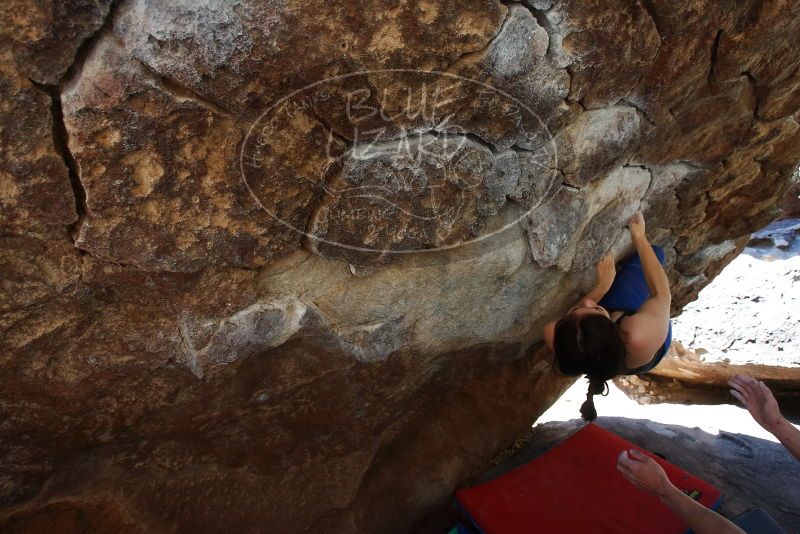 Bouldering in Hueco Tanks on 03/29/2019 with Blue Lizard Climbing and Yoga
Filename: SRM_20190329_1055490.jpg
Aperture: f/5.6
Shutter Speed: 1/250
Body: Canon EOS-1D Mark II
Lens: Canon EF 16-35mm f/2.8 L