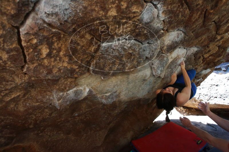 Bouldering in Hueco Tanks on 03/29/2019 with Blue Lizard Climbing and Yoga
Filename: SRM_20190329_1055510.jpg
Aperture: f/5.6
Shutter Speed: 1/250
Body: Canon EOS-1D Mark II
Lens: Canon EF 16-35mm f/2.8 L