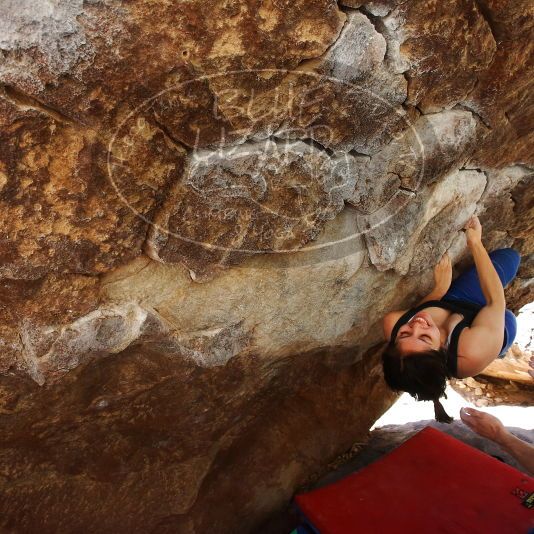 

Filename: SRM_20190329_1055511.jpg
Aperture: f/5.6
Shutter Speed: 1/250
Body: Canon EOS-1D Mark II
Lens: Canon EF 16-35mm f/2.8 L