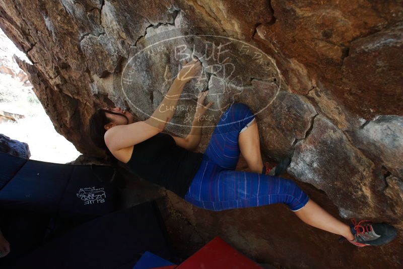 Bouldering in Hueco Tanks on 03/29/2019 with Blue Lizard Climbing and Yoga
Filename: SRM_20190329_1107300.jpg
Aperture: f/5.6
Shutter Speed: 1/250
Body: Canon EOS-1D Mark II
Lens: Canon EF 16-35mm f/2.8 L