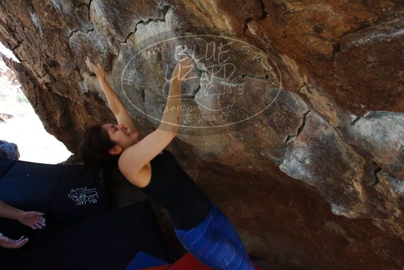 Bouldering in Hueco Tanks on 03/29/2019 with Blue Lizard Climbing and Yoga
Filename: SRM_20190329_1107330.jpg
Aperture: f/5.6
Shutter Speed: 1/250
Body: Canon EOS-1D Mark II
Lens: Canon EF 16-35mm f/2.8 L