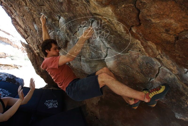 Bouldering in Hueco Tanks on 03/29/2019 with Blue Lizard Climbing and Yoga
Filename: SRM_20190329_1107570.jpg
Aperture: f/5.6
Shutter Speed: 1/250
Body: Canon EOS-1D Mark II
Lens: Canon EF 16-35mm f/2.8 L